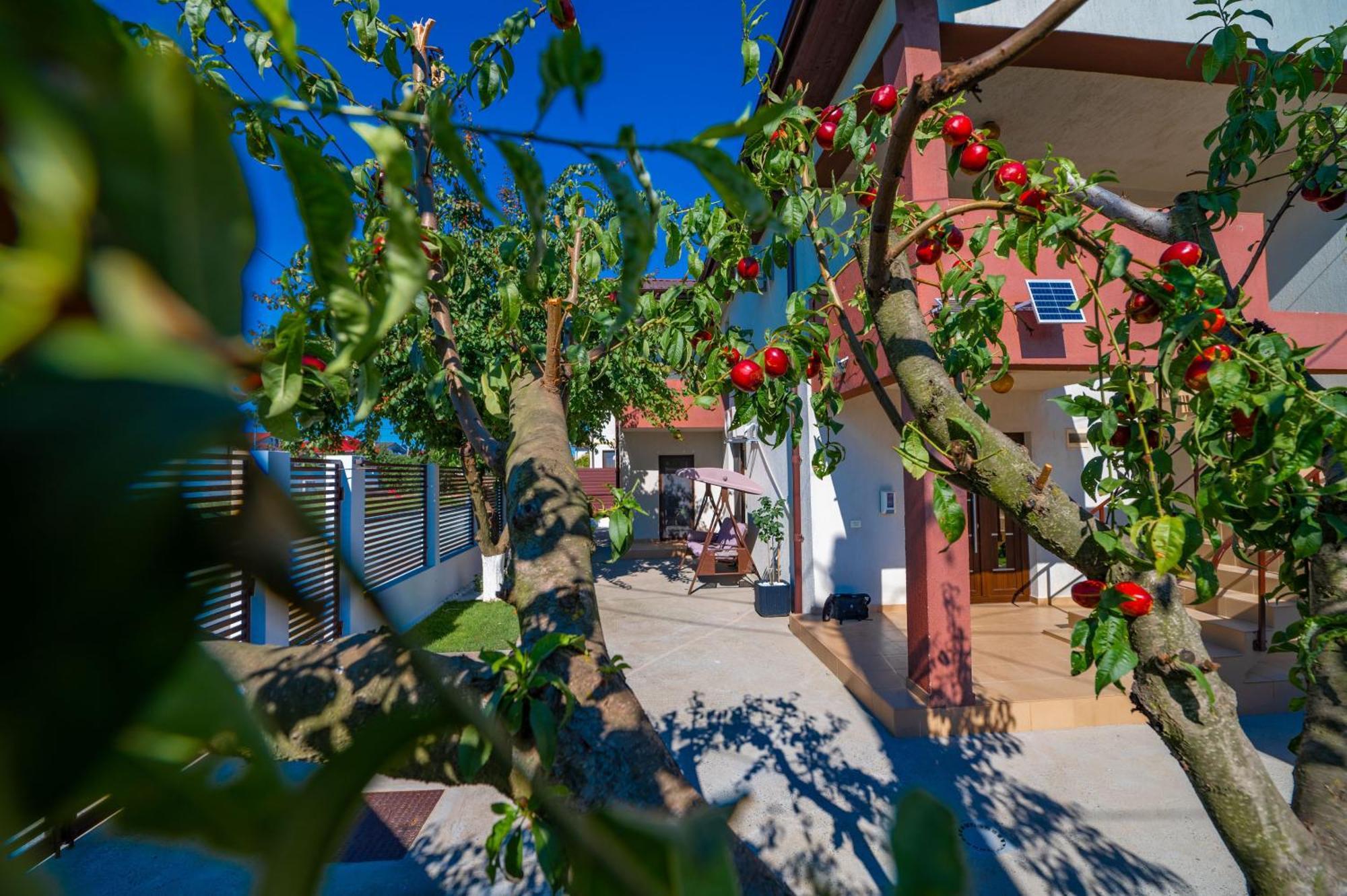 Pensiunea Voicu Eforie Nord Exteriör bild